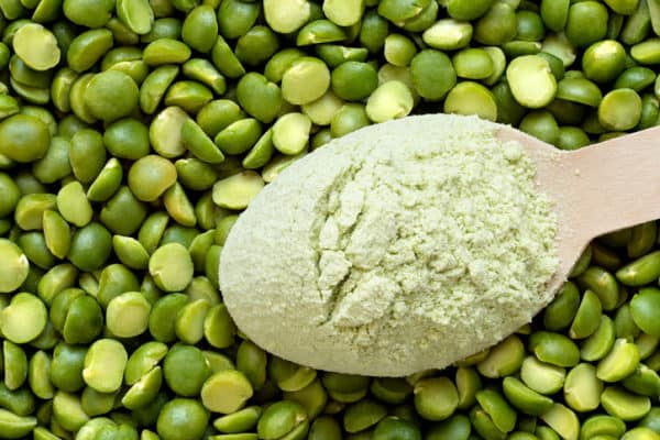 pea protein