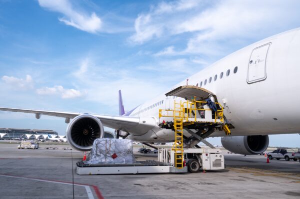 Technology has facilitated transportation between warehouse and fulfillment.