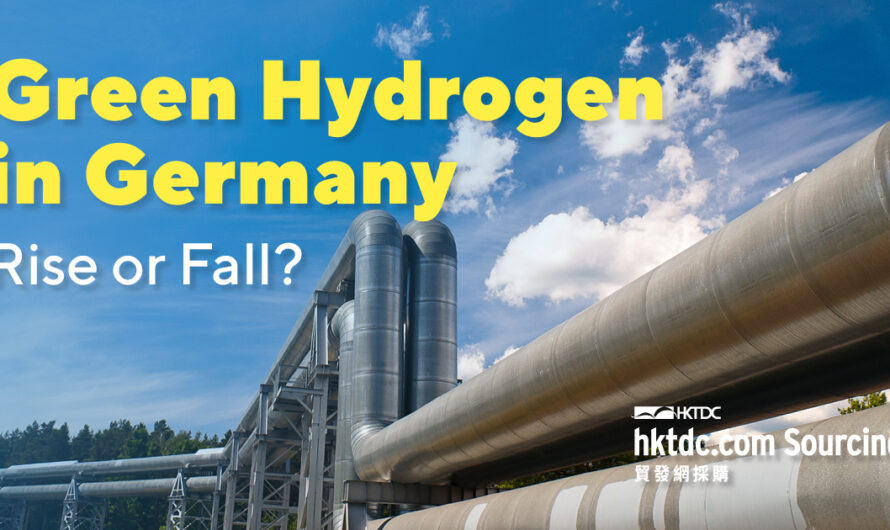 Germany’s Hydrogen Sector Stalls Amid Weak Demand: Key Insights for Global Suppliers