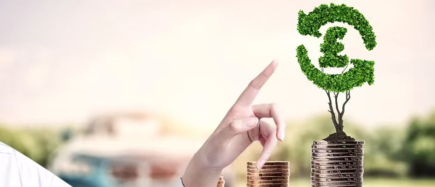 铺就绿色贸易「快车道」：首份专项政策赋能中小企业转型之路